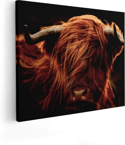 Artaza Canvas Schilderij Schotse Hooglander - 100x80 cm - Groot - Wanddecoratie Woonkamer - Muurdecoratie Dieren - Canvas Schilderij Hooglander