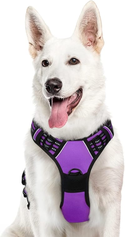 Hondentuig No Pull, Hondenharnas voor Grote Honden, Verstelbare Harnas Hond met Reflecterend Strepen, Gewatteerd Zacht Ademend, Hondentuigje Anti-trek voor Wandelen Training, Paars XL