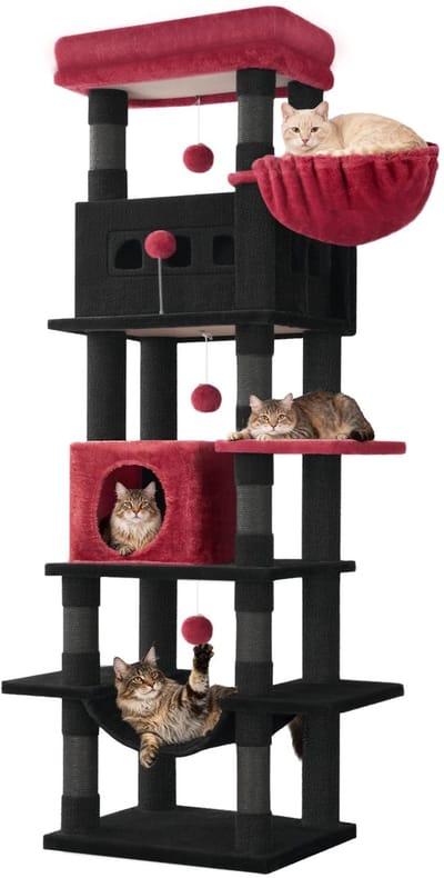 Kattenboom – Voor Binnengebruik en Maine Coon – 170 cm Grote Kattenboom met Meerdere Levels, Groot Ligvlak en Wasbare Mat – Zwart/Rood