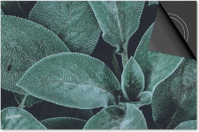 Inductie beschermer 60x60 - afdekplaat inductie mat - Dietrix Kookplaat beschermer - Exclusief - Leaves - 24 Lichtgroene bladeren