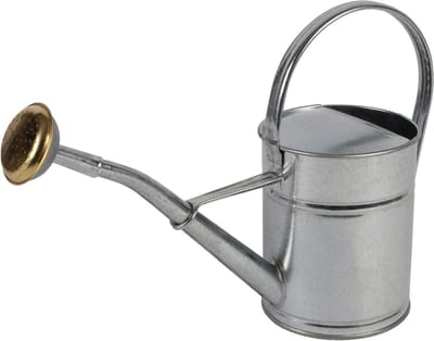 Metalen Gieter - Waterkan - Planten Water Geven - Met Broeskop - 2 Liter - Beige
