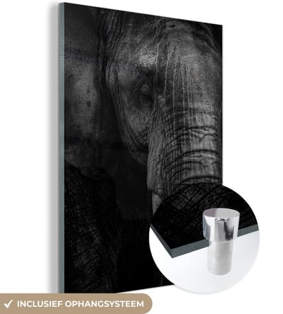 MuchoWow® Glasschilderij 120x160 cm - Schilderij acrylglas - Olifant - Dier - Portret - Foto op glas - Schilderijen