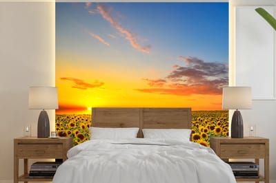 Behang - Fotobehang Bloemen - Zonnebloem - Zonsondergang - Nacht - Oranje - Breedte 280 cm x hoogte 280 cm