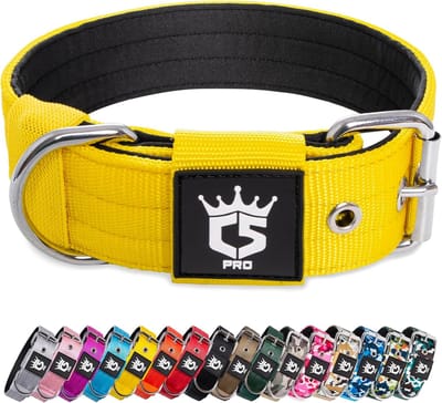 Verstelbare Hondenhalsband met Metalen Gesp - Geschikt voor Nekomvang 48-55 cm - Hondenhalsband Geel