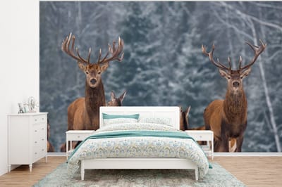 Behang - Fotobehang Hert - Winter - Sneeuw - Bosdieren - Bos - Natuur - Breedte 375 cm x hoogte 280 cm