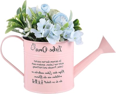 Vintage Watering Can voor Binnenplanten - Mooie Decoratieve Roze Gieter voor Moederdag, Verjaardag en Thuisdecoratie - Perfect Cadeau voor Grootmoeder en Plantenliefhebbers