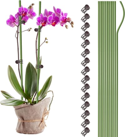 Set van 10 Plant Steunen met Clips - Sterke Metalen Steunen voor Tuinplanten, Ondersteuning voor Groei en Stabiliteit (60cm)