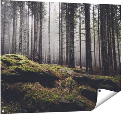 Gards Tuinposter Bos met Mos op Rotsen - 100x80 cm - Tuindoek - Tuindecoratie - Wanddecoratie buiten - Tuinschilderij