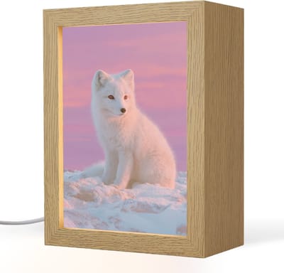 Nachtlampje 15x20 cm - Kinder lampje - Poolvos - Sneeuw - Roze - Tafellamp kinderkamer - Slaapkamer lamp - Bedlamp kinderen - Kinderlampje stopcontact - Wandlamp babykamer - Nachtlampjes
