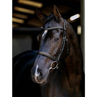 Hoofdstellen voor paarden LeMieux