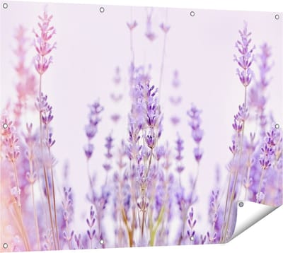 Gards Tuinposter Paarse Lavendel Bloemen - 120x90 cm - Tuindoek - Tuindecoratie - Wanddecoratie buiten - Tuinschilderij