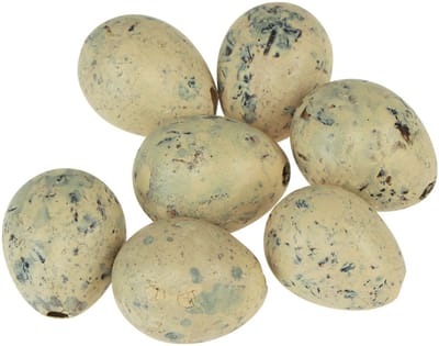 Kwarteleitjes decoratie Paasblaaseieren crème 3cm 50 st, 50 Stück