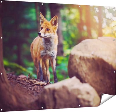 Gards Tuinposter Vos in het Bos bij Stenen - 150x120 cm - Tuindoek - Tuindecoratie - Wanddecoratie buiten - Tuinschilderij