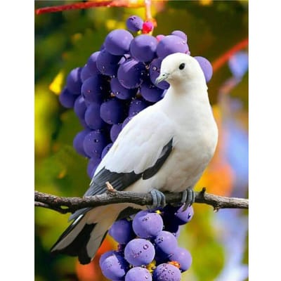 Diamant broderie Pigeon raisin diamant mosaïque 5D icône strass diamant peinture point de croix 20X30CM blue