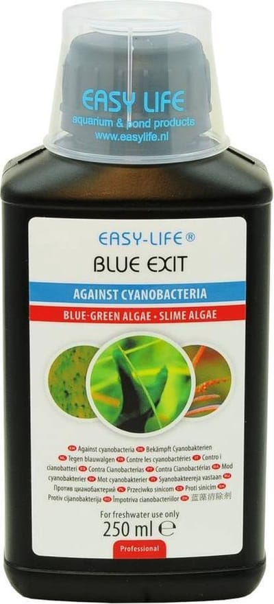 Easy life blue exit - 1 st à 500 ml