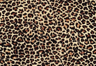 Fotobehang Leopard | XL - 208cm x 146cm | 130g/m2 Vlies