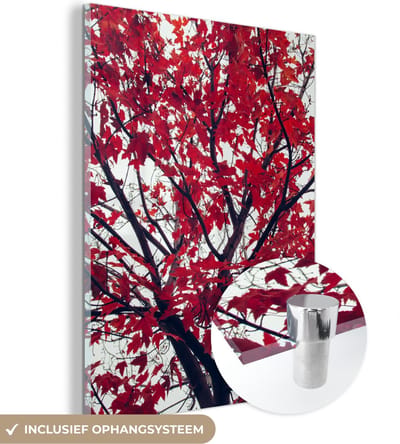 MuchoWow® Glasschilderij 30x40 cm - Schilderij acrylglas - Esdoorn - Bladeren - Herfst - Natuur - Foto op glas - Schilderijen