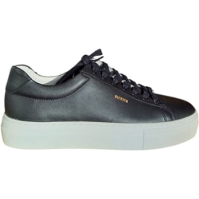 Blackstone Bl488.blk mae