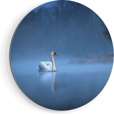 Artaza Dibond Muurcirkel Zwaan op het Water tussen de Mist - Ø 80 cm - Groot - Wandcirkel - Rond Schilderij - Voor Binnen en Buiten