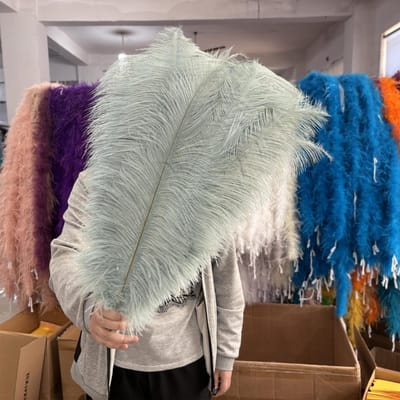 10 STUKS Grote Struisvogelveren 15-60cm voor DIY Knutselen Bruiloft Tafel Middenstuk Decoratie Struisvogel Pluimen Carnaval Feest Podium Accessoires Bulk 15-20cm lichtblauwe kleur