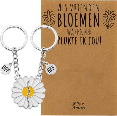 BFF Sleutelhanger voor 2 'Als vrienden bloemen waren, plukte ik jou' - Magnetische Bloem - Sleutelhanger set op Cadeau Kaartje - Zilverkleurig - Vriendschap Symbool - Pax Amare