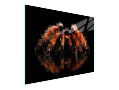 TMK ArtDeko - Snijplank - 52x30 cm - Glas - Antislip