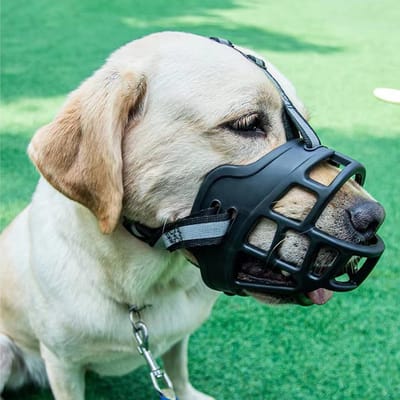 Hondenmuilkorf voor middelgrote honden, beetvast en ademend, verstelbaar met reflecterende strepen, anti-vuil en comfortabel voor dagelijks gebruik