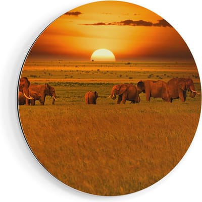 Artaza Dibond Muurcirkel Olifanten In Het Wild - Zonsondergang - Ø 40 cm - Klein - Wandcirkel - Rond Schilderij - Voor Binnen en Buiten