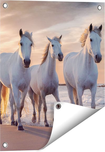 Gards Tuinposter Witte Paarden op het Strand bij Water - 40x50 cm - Tuindoek - Tuindecoratie - Wanddecoratie buiten - Tuinschilderij