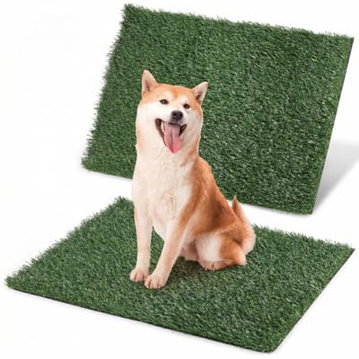 Dailygoods - QWORK® 2 stuks kunstgras hondentoilet puppytoilet plasmatten voor honden, hondentoilet vervangingsgras 51 x 63 cm