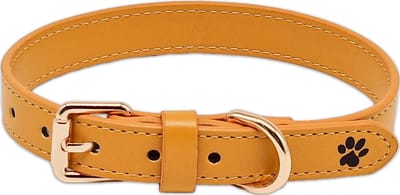 Gele Leren Halsband Hond - Gele Hondenhalsband Leer - Mosterd - Goud - Yummy Yellow - Paw My God! - Maat M