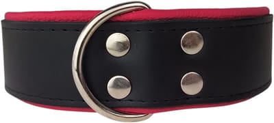 Dog's Companion - Leren hondenhalsband zwart / roze - Leren hondenhalsband zwart / roze