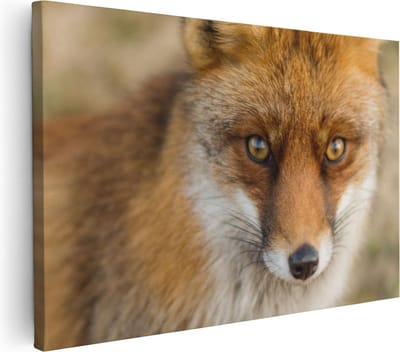 Artaza Canvas Schilderij Vos Close-Up - 30x20 cm - Klein - Wanddecoratie Dierenhoofd - Muurdecoratie Woonkamer - Kamer Accessoires