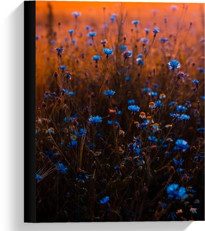 Canvas  - Blauwe Bloemetjesstruik - 30x40cm Foto op Canvas Schilderij (Wanddecoratie op Canvas)