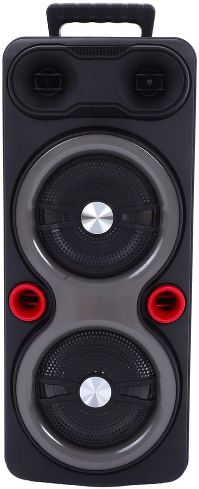 Draagbare Outdoor Speaker - 2x 6.5" Bas, RGB Verlichting, TWS, Karaoke Microfoon - Zwart