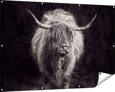 Gards Tuinposter Schotse Hooglander Koe - Zwart Wit - 150x100 cm - Tuindoek - Tuindecoratie - Wanddecoratie buiten - Tuinschilderij