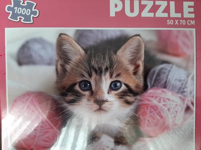 Poezen puzzel 1000 stukjes