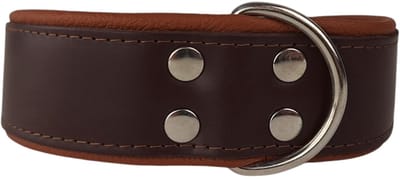 Dog's Companion - Leren halsband bruin / bruin - Leren halsband bruin / bruin