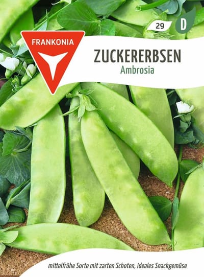 Suikererwt, ambrosia - groentezaden, zaden