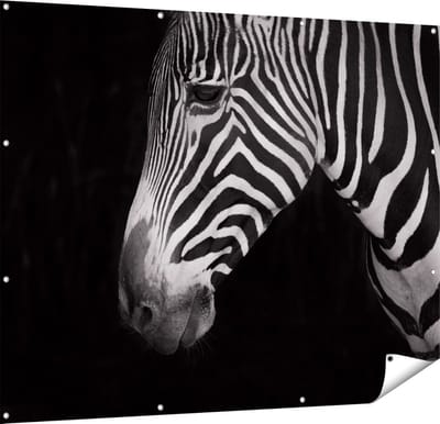 Gards Tuinposter Zebra Kop vanaf de Zijkant - Zwart Wit - 150x120 cm - Tuindoek - Tuindecoratie - Wanddecoratie buiten - Tuinschilderij