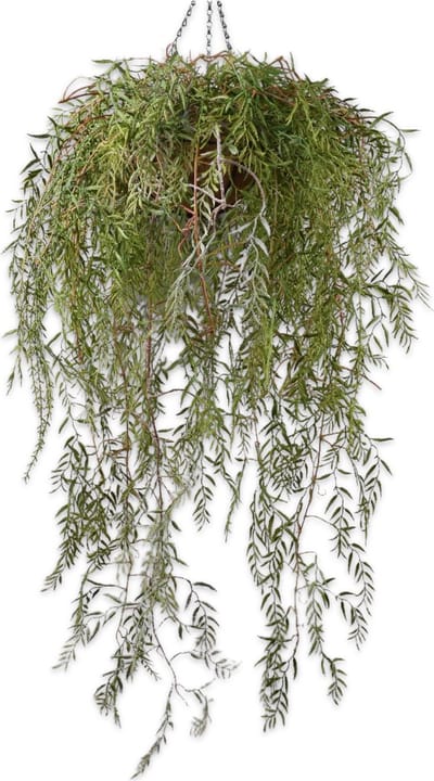 Silk-ka Luxe Zijde Hangplant – Groen – 120 cm