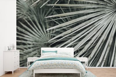 Behang - Fotobehang Bladeren - Groen - Palm - Breedte 600 cm x hoogte 400 cm