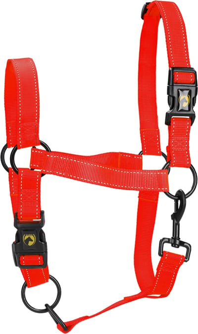 Excellent Horse - XS (Veulen) - Premium Essential Halster - Reflecterend halster voor paard - Geschikt voor paarden - Rood
