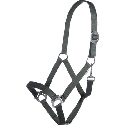 Halster voor paarden HKM Stars Economy