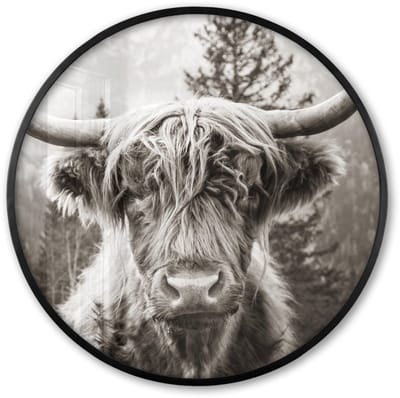 Poster in lijst Rond - Fotolijst 60x60 cm - Posters - Schotse hooglander - Koe - Dieren - Zwart - Wit - Ronde posterlijst zwart - Decoratie - Wanddecoratie woonkamer - Muurdecoratie slaapkamer
