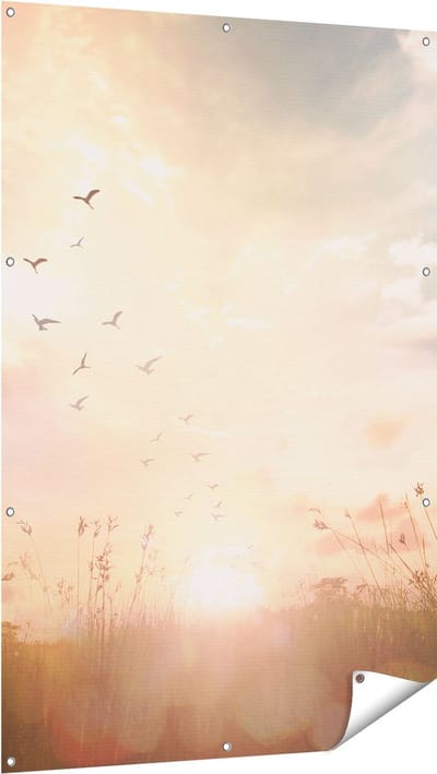Gards Tuinposter Silhouet Vogels tijdens Zonsopkomst - 100x150 cm - Tuindoek - Tuindecoratie - Wanddecoratie buiten - Tuinschilderij