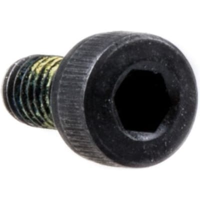 Screw