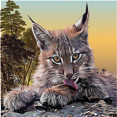 Bricolage diamant brodé Animal Lynx peinture Portrait 5D diamant peinture point de croix 30x30CM gray