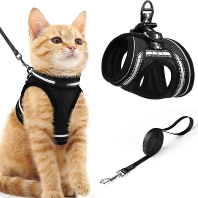 CLVP® Kattentuigje met Looplijn - Kattentuigje - Kattenharnas - Zwart