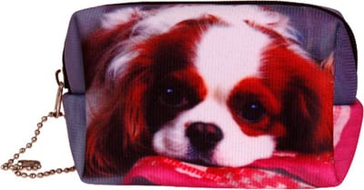 Kleine etui/klein toilettasje Cavalier King Charles Spaniel
